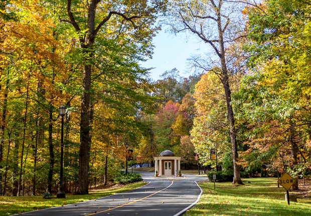 Sweet Briar College 263